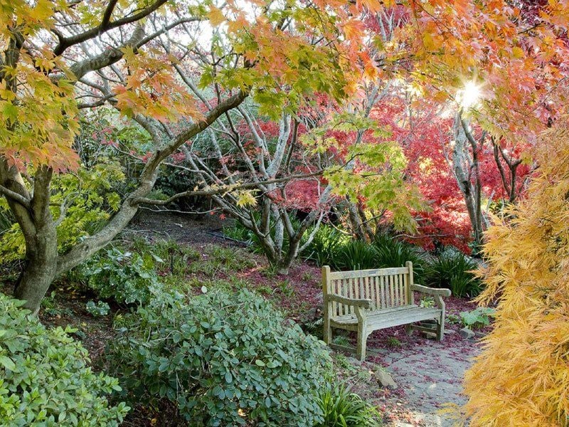 Mount Tomah Botanical Gardens Image -5be75272a7bc1